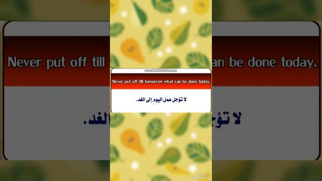 Proverbs & Sayings смотреть онлайн