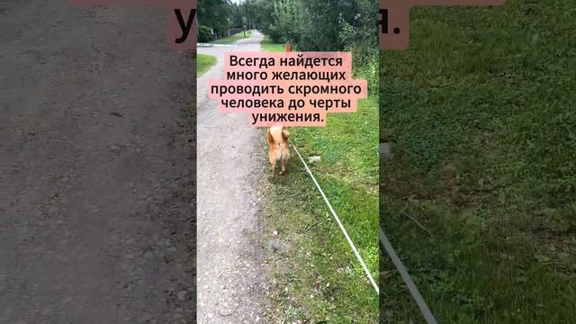 Невидимая Граница: Как Наглость Меняет Отношения и Жизнь. Цитаты о Наглости.