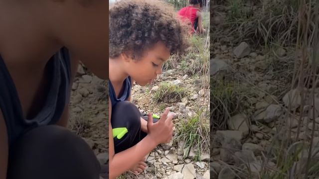 Foraging, cleaning and eating Nostoc Commune (cyanobacterium)