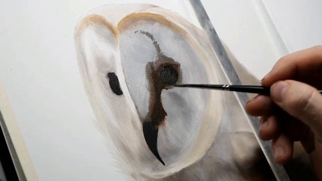 OIL PAINTING Time-Lapse - Barn Owl | Wildlife Portrait смотреть онлайн