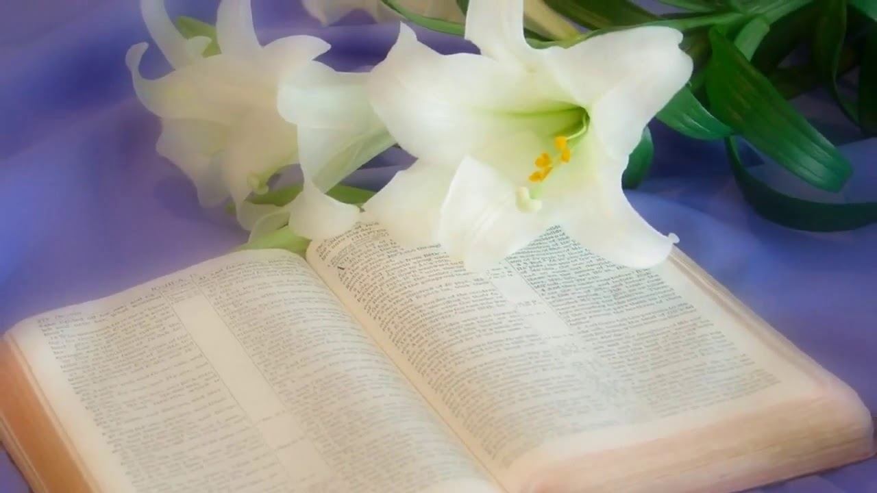 Psalmul 119 (lectura - Costel Hofer) смотреть онлайн