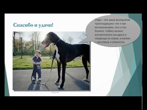 Ольга Юнтунен. Детские страхи. смотреть онлайн