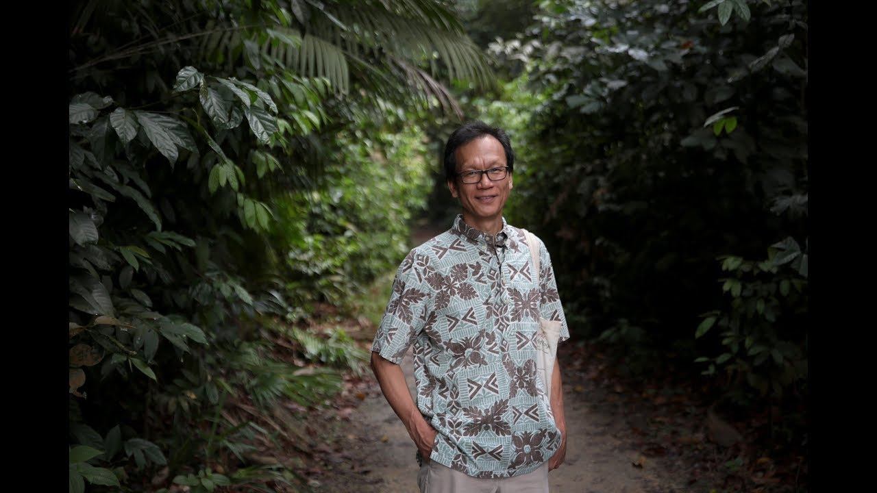 Conservationist Dr Shawn Lum walks TODAY through Macritchie Reservoir's flora and fauna смотреть онлайн