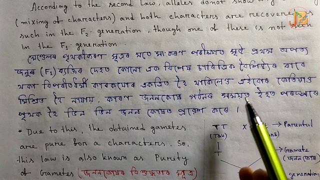 Law Of Segregation In Assamese /Part-6/Class 12 Biology||Principles Of Inheritance & Variation:AHSE