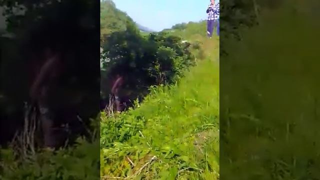 5 июня 2017 г. смотреть онлайн