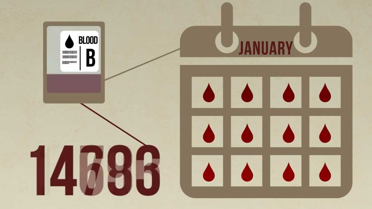 Blood Donor Infographic смотреть онлайн