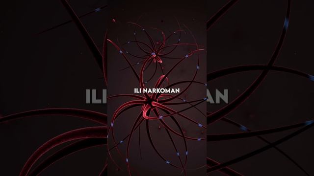 Vučija Glad Je žudnja, Neutaživa želja Za Gutanjem Hrane Koja Sadrži šećer Ili Skrob.