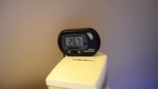 Termometr do akwarium za $1.79 z aliexpress.com смотреть онлайн