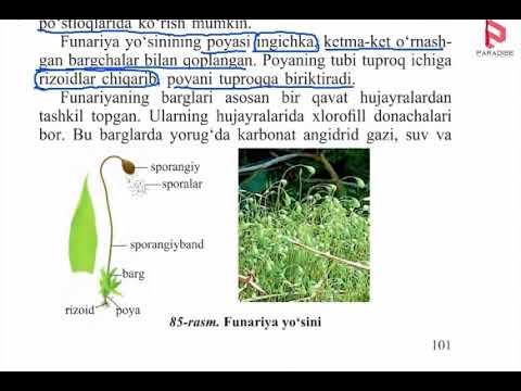 Biologiya 42 Mavzu 6 Sinf