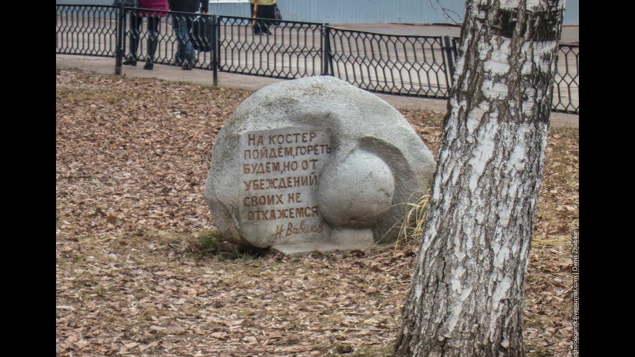 пикет в Саратове 29 августа " за свободу слова " смотреть онлайн