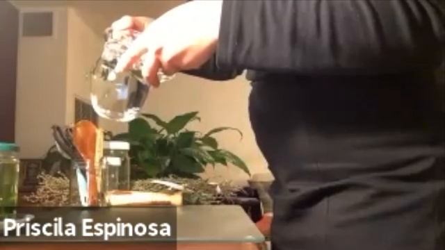 Wild Edible and Medicinal Plants with Russ Cohen and Priscila Espinosa смотреть онлайн
