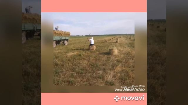 Талас шаары Абжалбек Чолпонкулов атындагы #1 орто мектеби смотреть онлайн