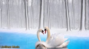 ❤️Красивая Романтическая  Музыка для Души. Эдгар Туниянц . 🎧