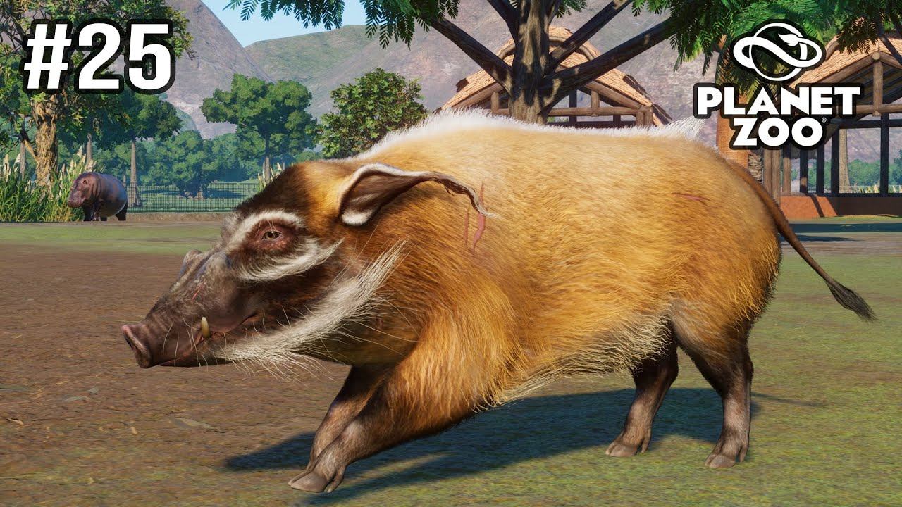 Babi Sungai Merah Dari Afrika Ke Nosta Zoo - Planet Zoo #25 смотреть онлайн