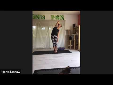 Mixed Level Asana~ Shoulders/Hip flexors/Headstands смотреть онлайн
