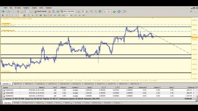 Рынок Форекс Манипулирование ценовым действием против толпы 2019 смотреть онлайн