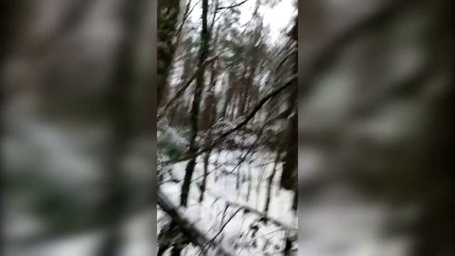 На Чернігівщині затримали браконьєра-вершника та двох його спільників смотреть онлайн