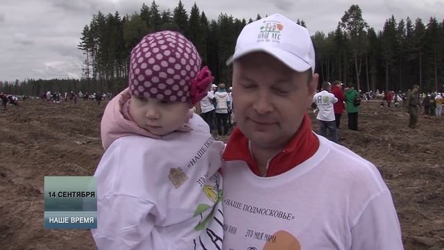 Семейные, коллективные и "звездные" деревья. 09.2015 смотреть онлайн