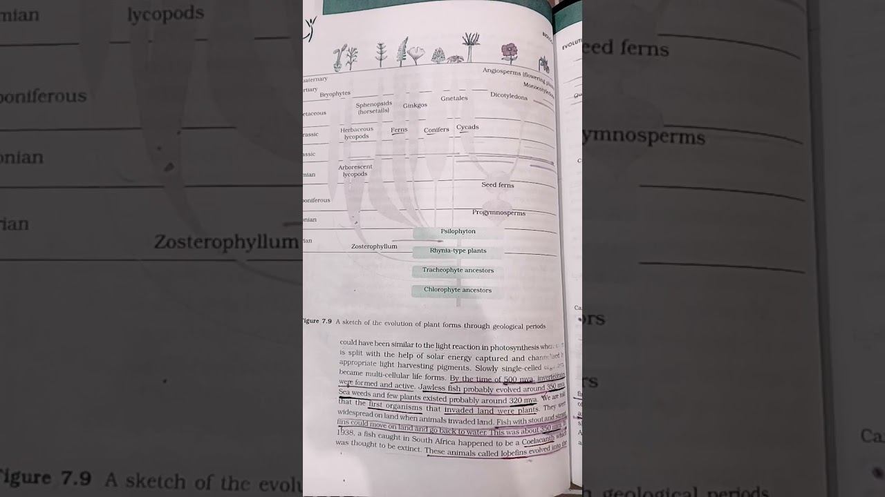 #NEET BIOLOGY EVOLUTION OF PLANT $ ANIMAL GEOGRAPHICAL PERIOD смотреть онлайн