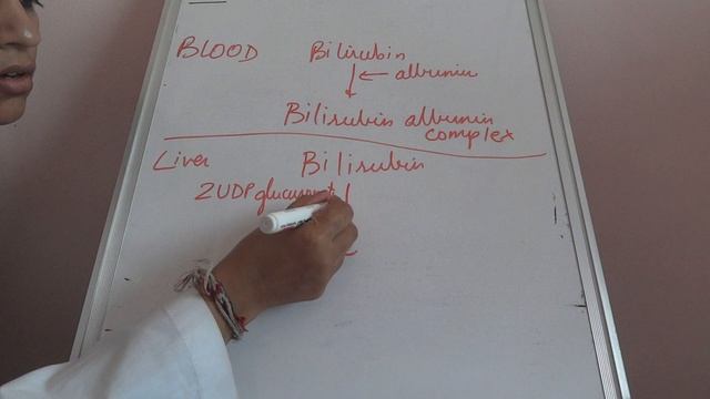 Biochemistry heme breakdown/biochemistry cycles/metabolism of hemoglobin смотреть онлайн