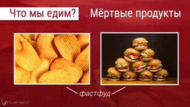 ALIVEMAX компания! смотреть онлайн