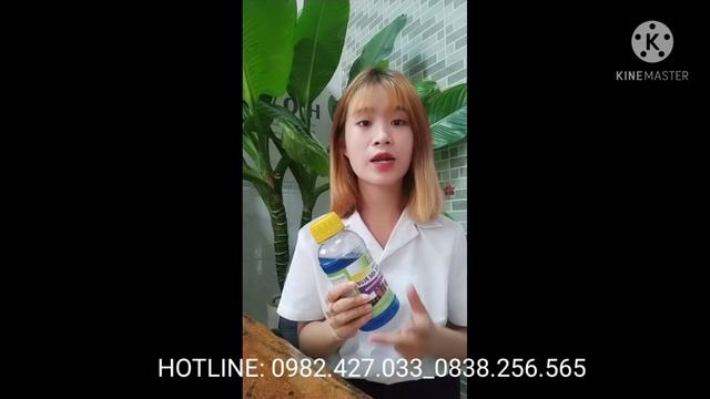 AGRI FOS 458 BLUE – THUỐC ĐẶC TRỊ NỨT THÂN, XÌ MỦ, LỞ CỔ RỄ, KHÔ CÀNH, THỐI TRÁI смотреть онлайн