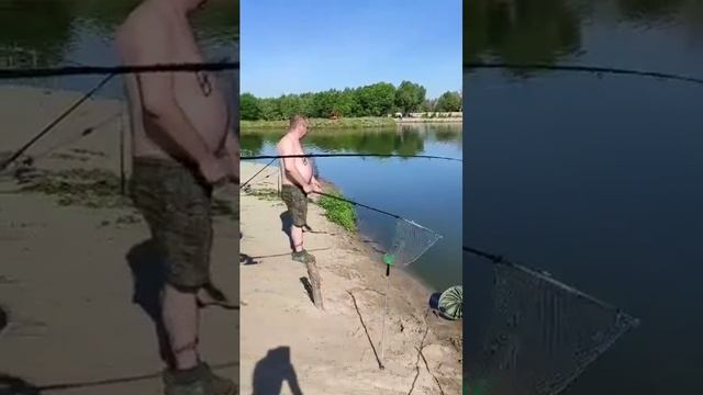 Гости успешно ловят. РК «Чайка».Безлимит на все виды рыбы.