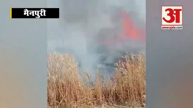 आग लगने से 600 बीघा गेहूं जलकर राख, फूट-फूटकर रोए किसान | Wheat Crop Burnt In Mainpuri смотреть онлайн