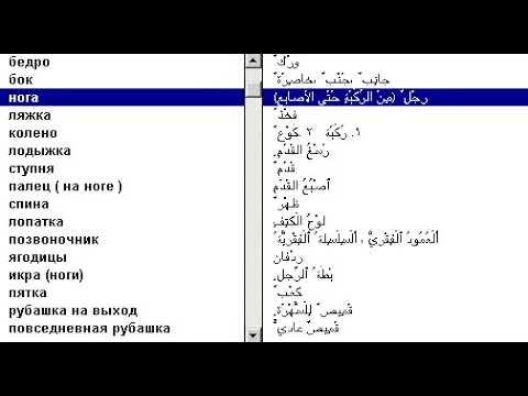 русско арабский словарь родные смотреть онлайн