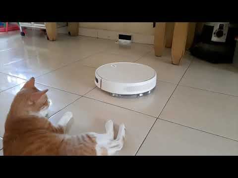 A must have device for House Cat - Robot Vacuum Cleaner смотреть онлайн