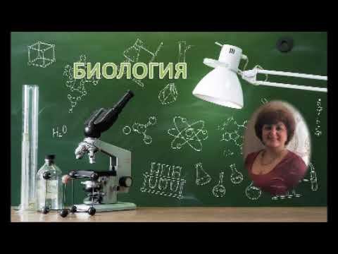 Биосфера 19 к 9 к смотреть онлайн