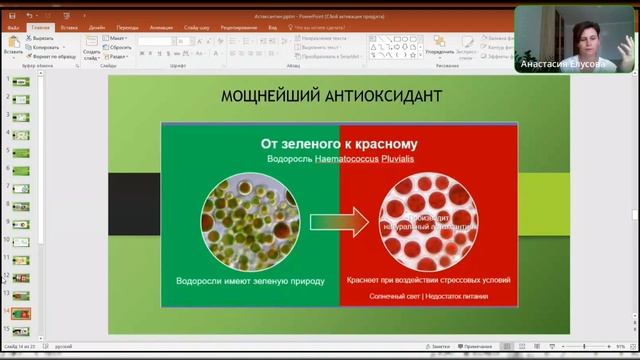 Антиоксидантная защита организма. Спикер Анастасия Елусова. смотреть онлайн