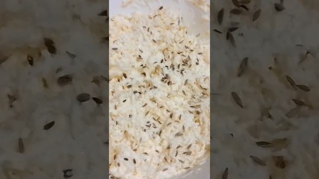 Салат из чёрной редьки #здоровыйобразжизни #чернаяредька#морковь#салат смотреть онлайн