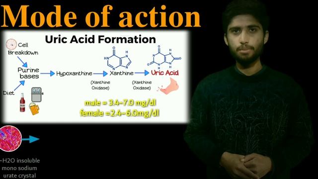 gouric tablet 40 mg | gouric tablet uses in urdu | gouric tablet 80 mg | gouric tablet | febuxostat смотреть онлайн