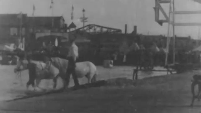 The Diving Horse ( 1899 год ) смотреть онлайн