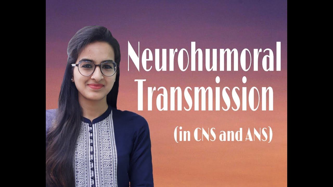 Neurohumoral Transmission смотреть онлайн