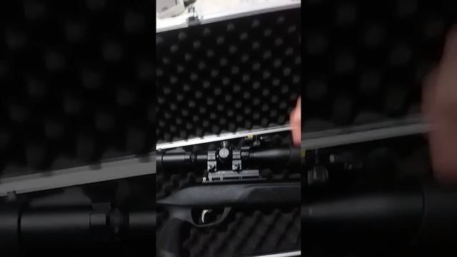 Gamo Swarm Magnum and TMZ Gun case review смотреть онлайн