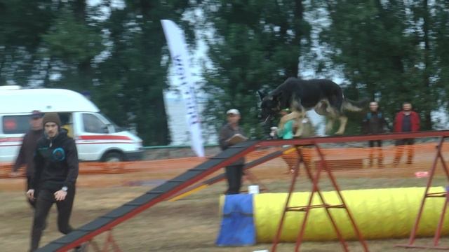 GAMES Gamblers - Гученко Роман Річард CherkasyOpenAgility смотреть онлайн