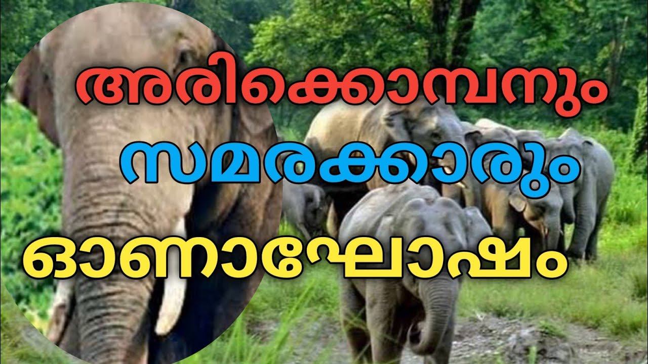 അരിക്കൊമ്പനും ഓണാഘോഷവും തലസ്ഥാനത്ത് സമരവും смотреть онлайн