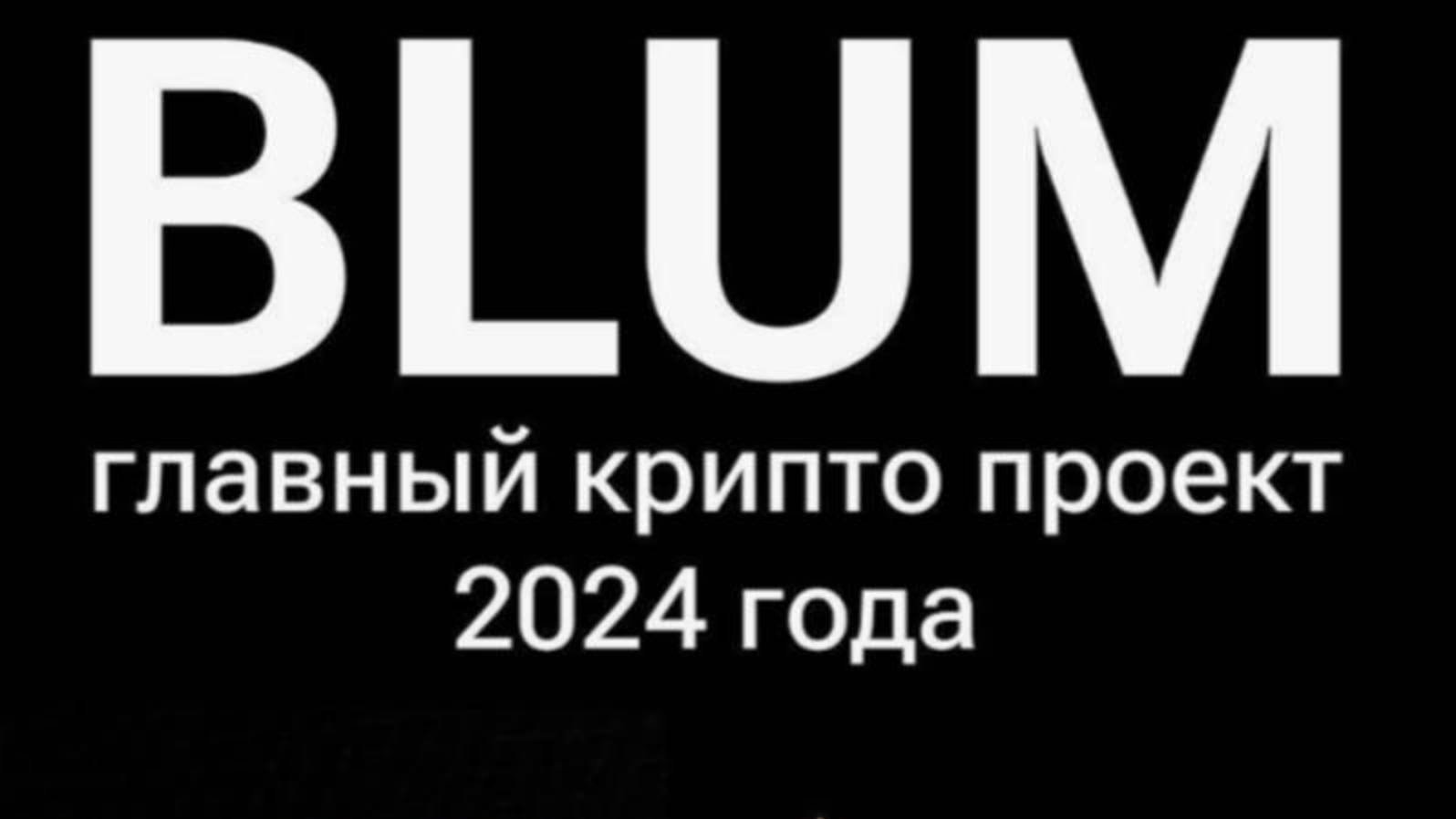 BLUM Academy Say No To Rug Pull! KEYWORD.