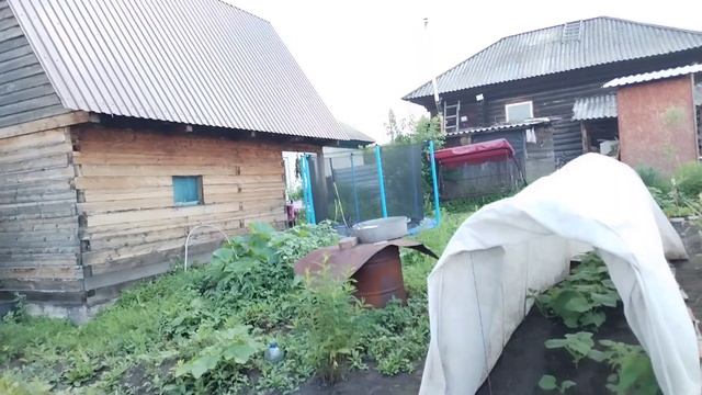 Приготовили с внуками вкусный ягодный пирог. смотреть онлайн