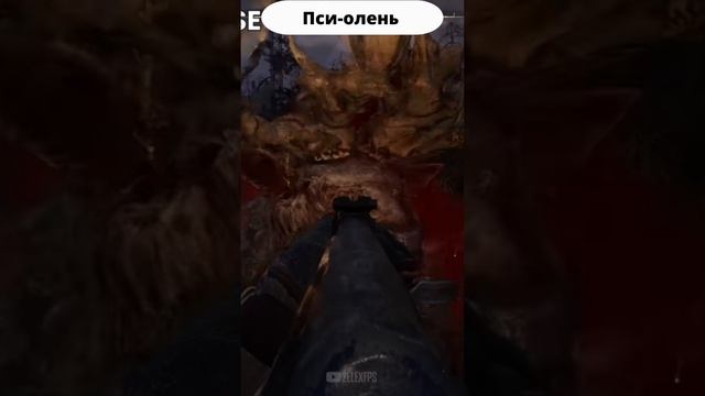 Все Мутанты Монстры в S.T.A.L.K.E.R. 2 Сталкер 2 All Mutants Monsters #stalker2 #shorts смотреть онлайн