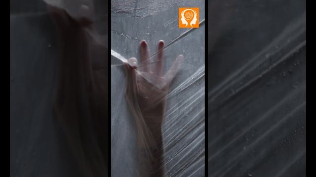 #Наука памяти Уникальная память #наукапамяти #факты