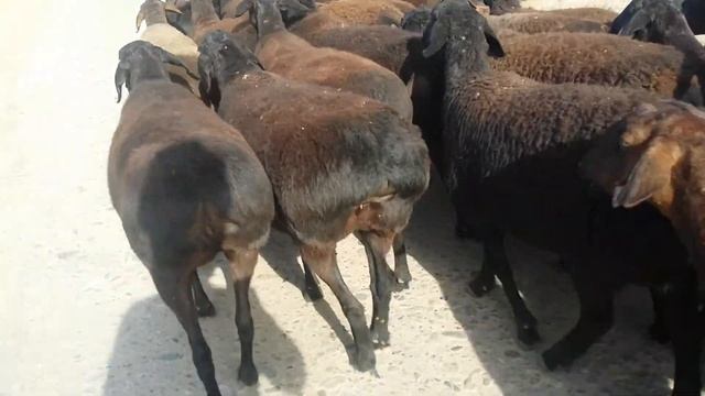 20171109 140313 смотреть онлайн