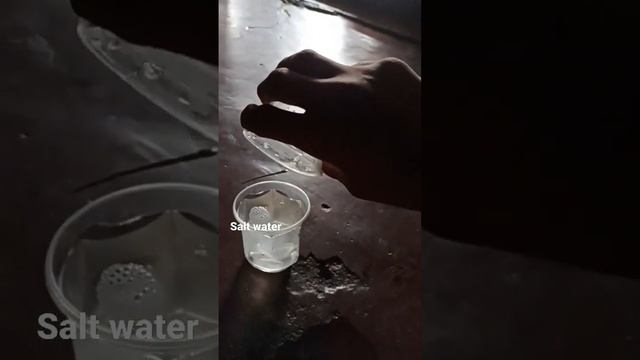 floating egg on salt water experiment real or fake? смотреть онлайн