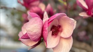 Код миллионера 5-14-19 в матрице судьбы