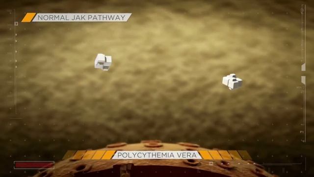 Understanding the Molecular Pathophysiology of Polycythemia Vera смотреть онлайн