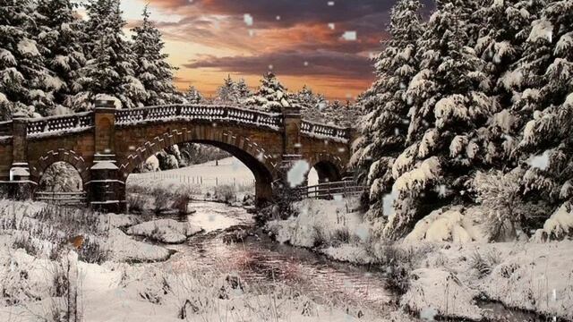 Всё нужно встречать вопросом " кто я? "
Роберт Адамс. смотреть онлайн