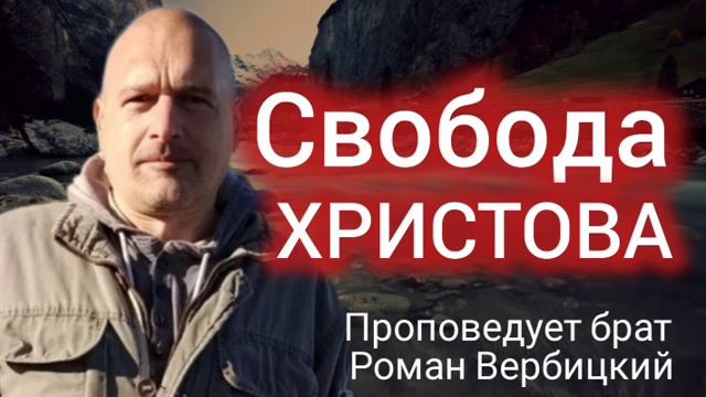№ 126 ⚡️Свобода Христова⚡ЗРИ В КОРЕНЬ⚡️24.11.24⚡Брат Роман