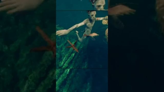 АВАТАР 2 | ТОЛКУН ЗНАЙОМСТВО смотреть онлайн